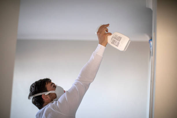 Reliable Sonoma State University, CA Mold Remediation Solutions